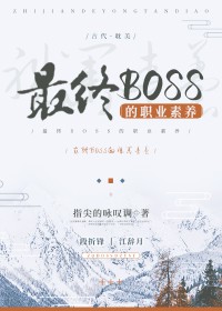 最终BOSS的职业素养